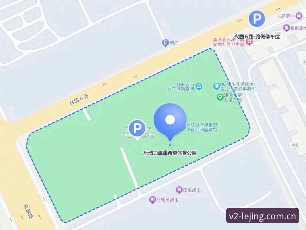 乐竟体育平台安装失败 乐竟体育平台安装失败解决教程:从登录问题到新版V2.0完整指南